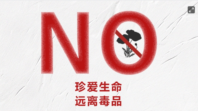 全民禁毒宣傳月 | “健康人生 綠色無毒”